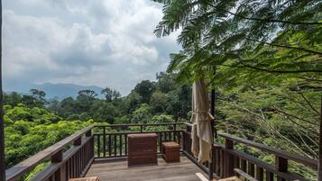 Villa Aranya Harundalu Suite | Terrace/patio