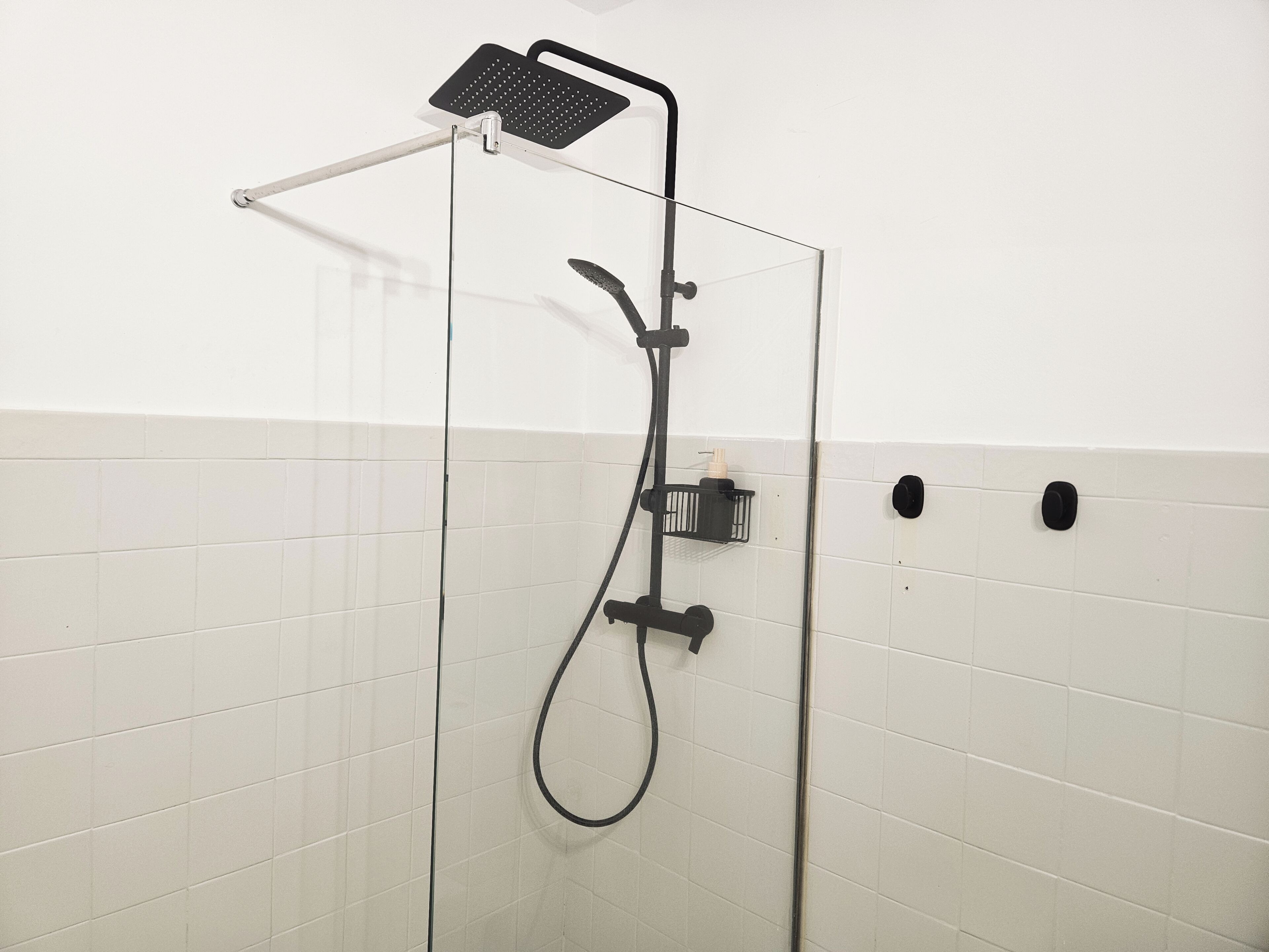 Een douche met glazen wand, een handdouche en een douchekop.