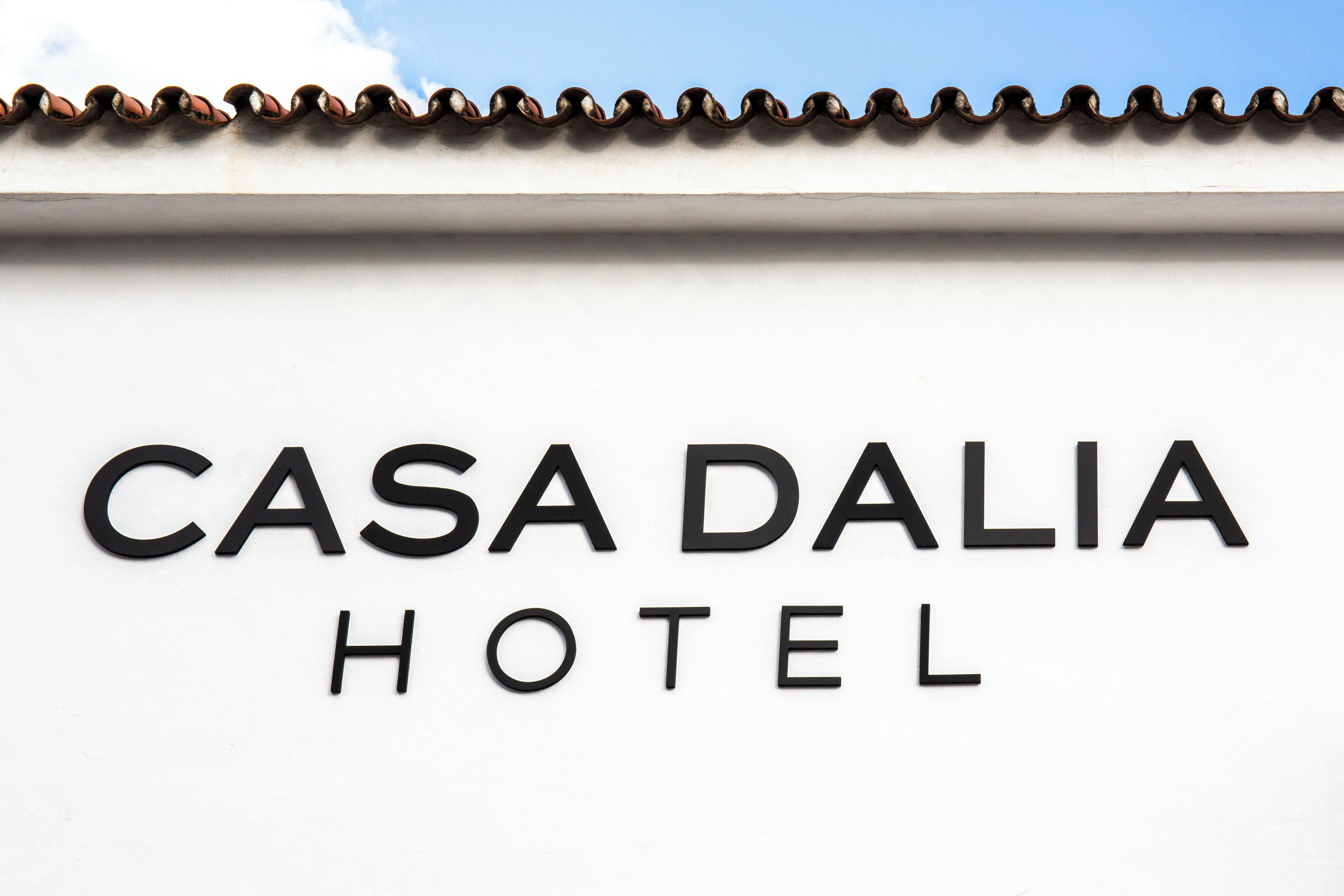 Foto - Hotel Casa Dalia