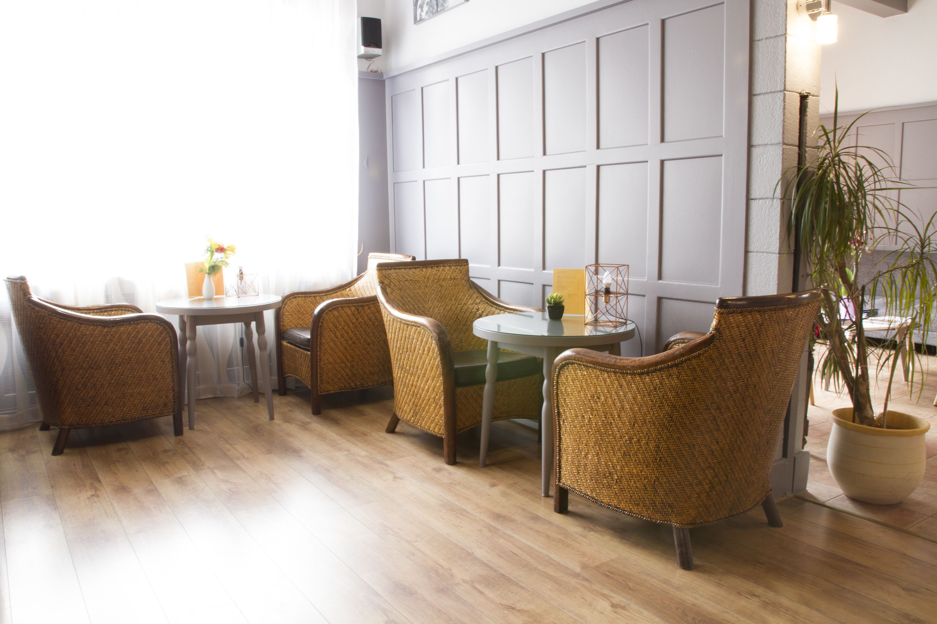 A room with wicker chairs, a round table, and a potted plant.