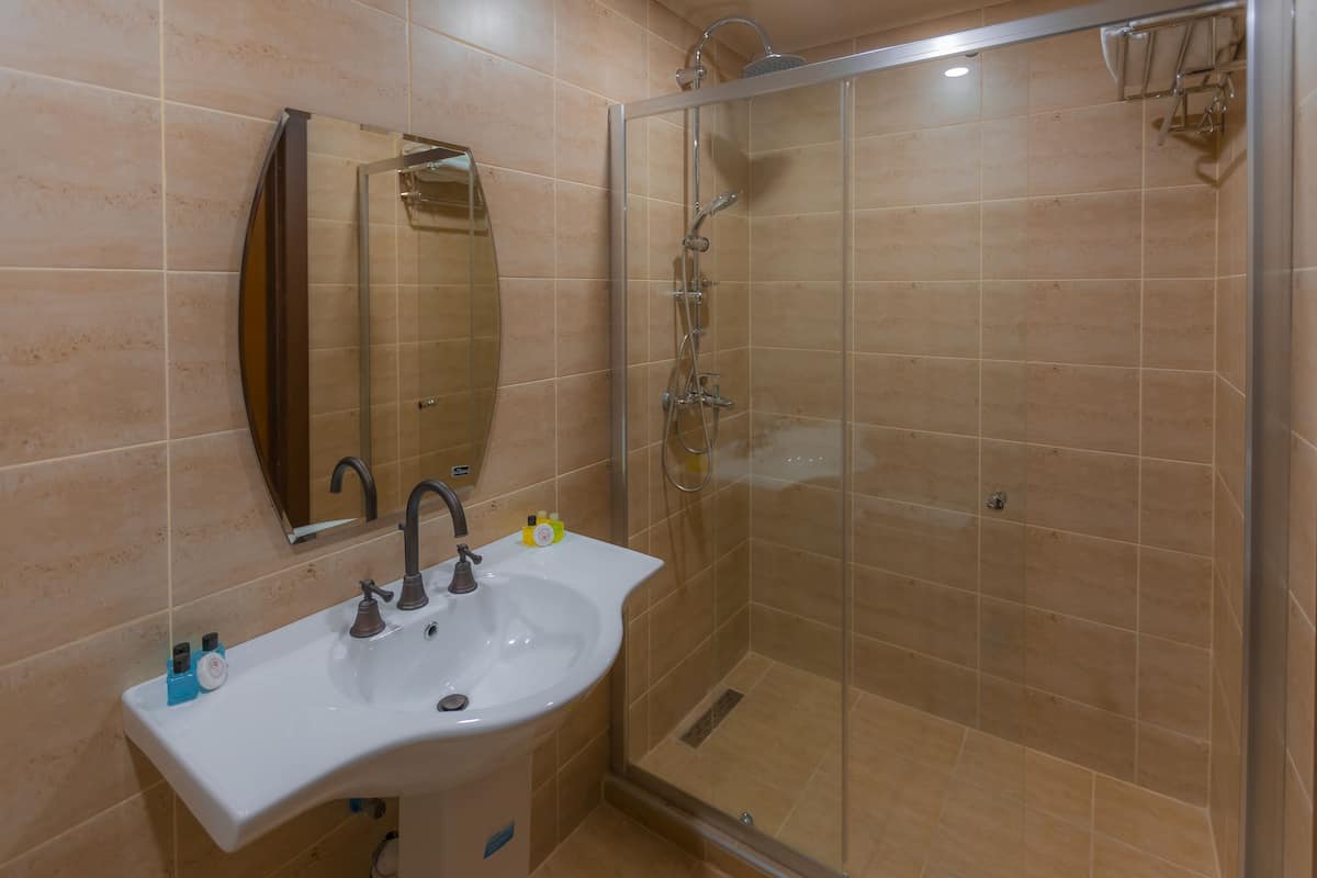 Une salle de bain avec un lavabo, un miroir et une douche.