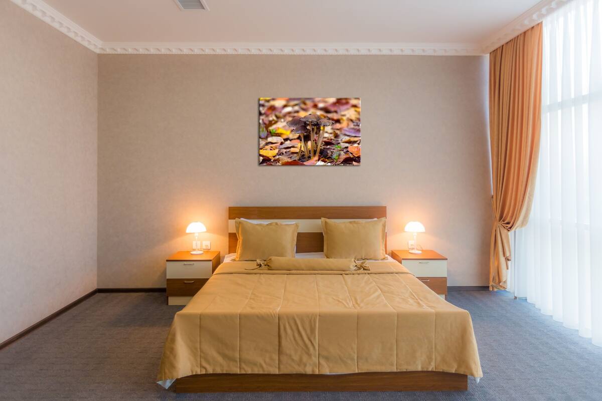 Chambre économique double | Literie de qualité, minibar, rideaux d’obscurcissement