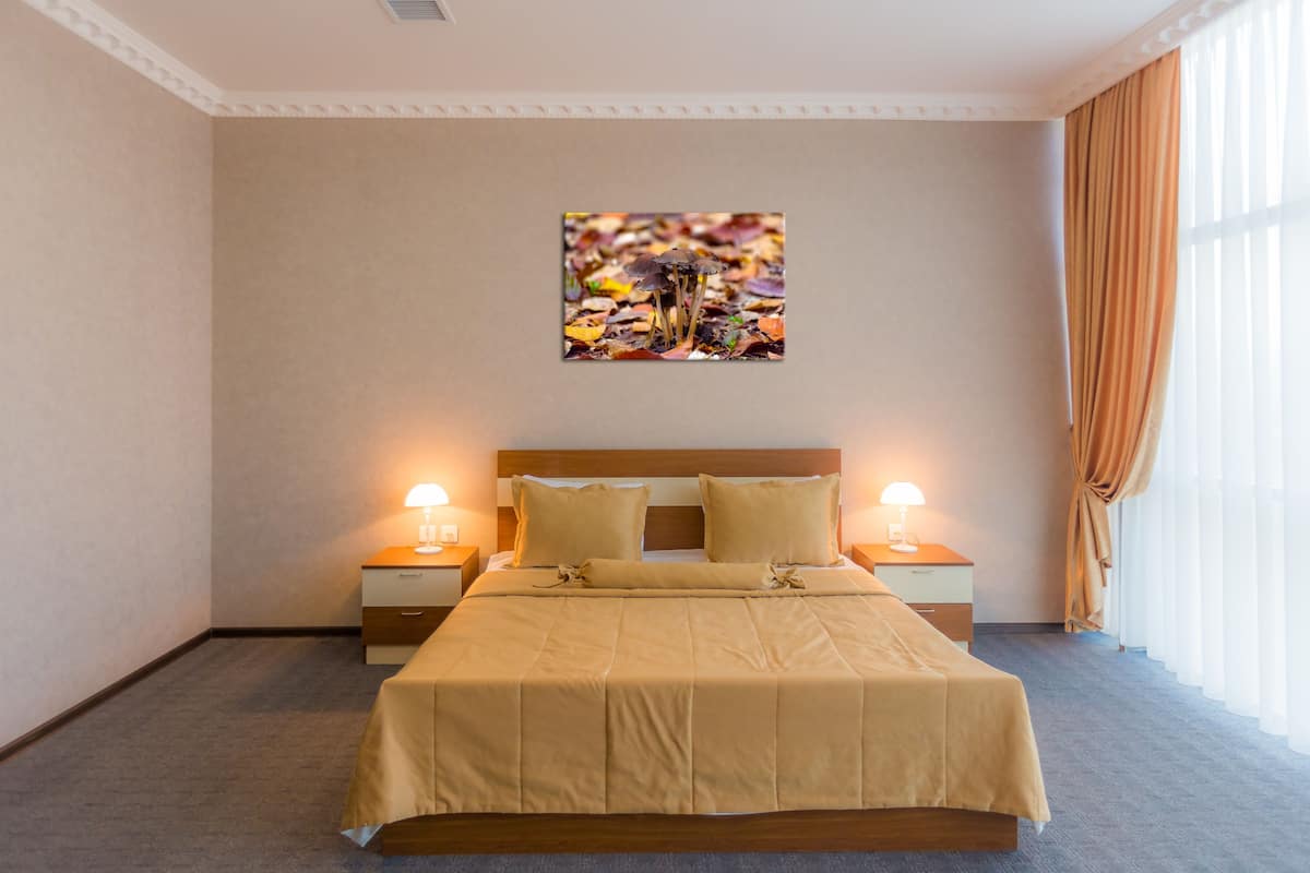 Economy Double Room | Premium bedding, minibar, individually decorated, individually furnished
