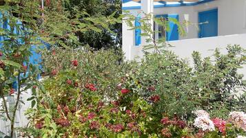 Estúdio luxo (No 6) | Terraço/pátio