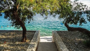 Un sentier de pierres menant à un plan d’eau, bordé de galets et d’arbres.