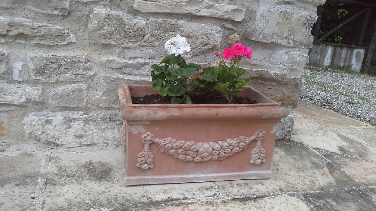 Una maceta de terracota con dos plantas en flor frente a un muro de piedra.