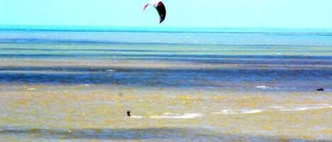 A beach with people swimming and a person kite surfing.