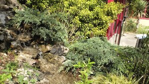 A garden with a small stream, dense foliage, and a red building in the background. - Hôtel La Cascade (Saint-Genis-les-Ollieres)