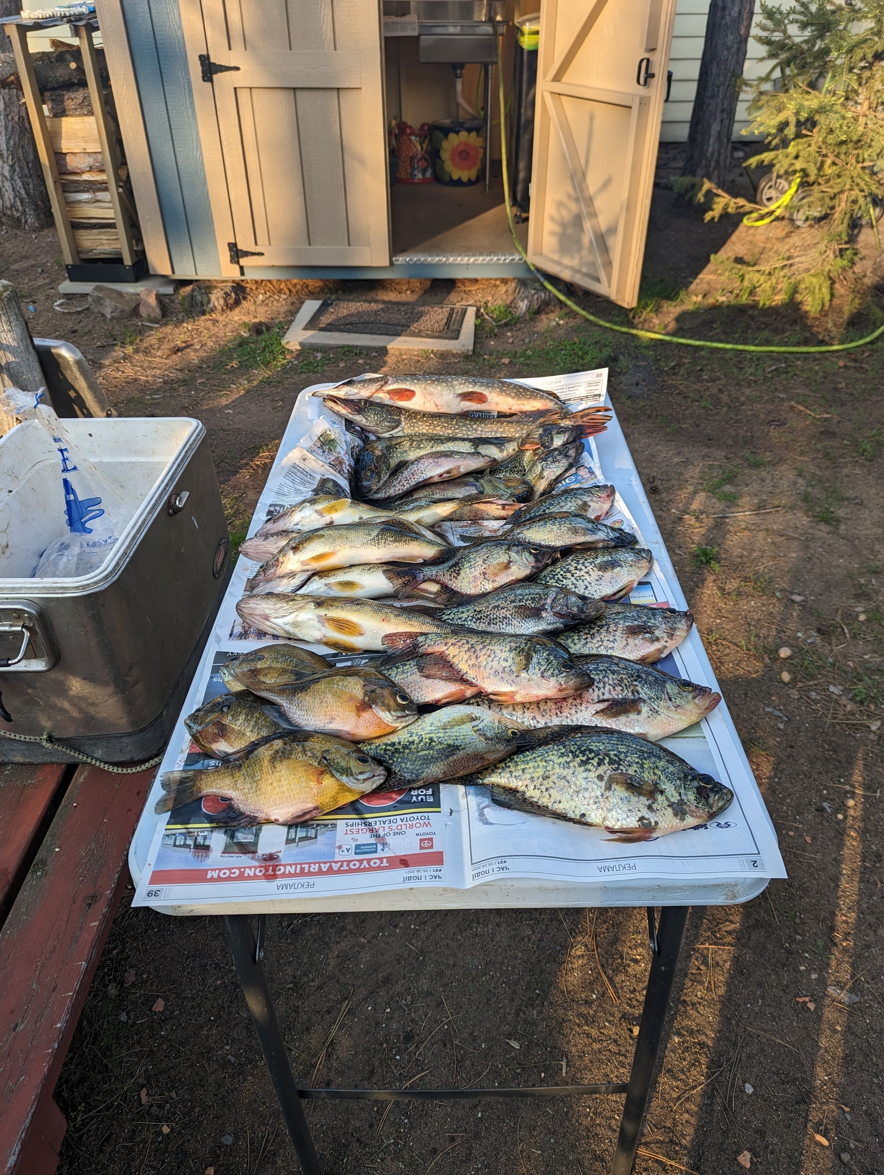 Pesca