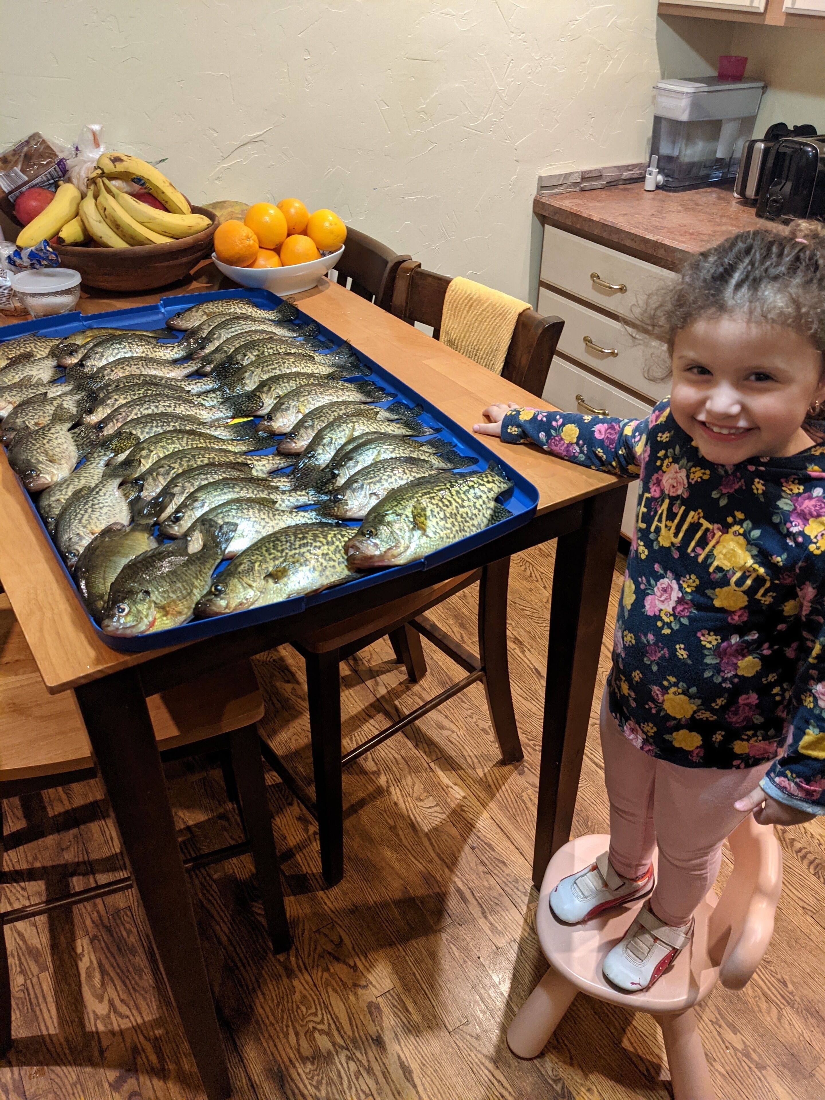 Pesca