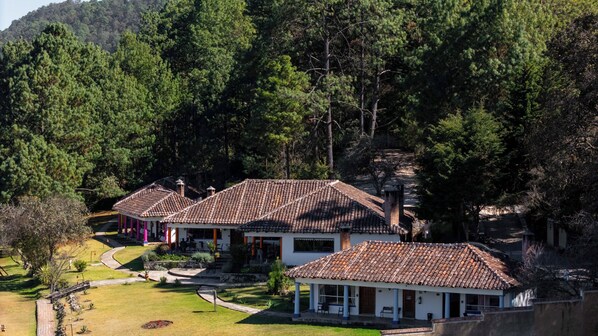 A residential area with multiple houses featuring tiled roofs and surrounded by dense forest.