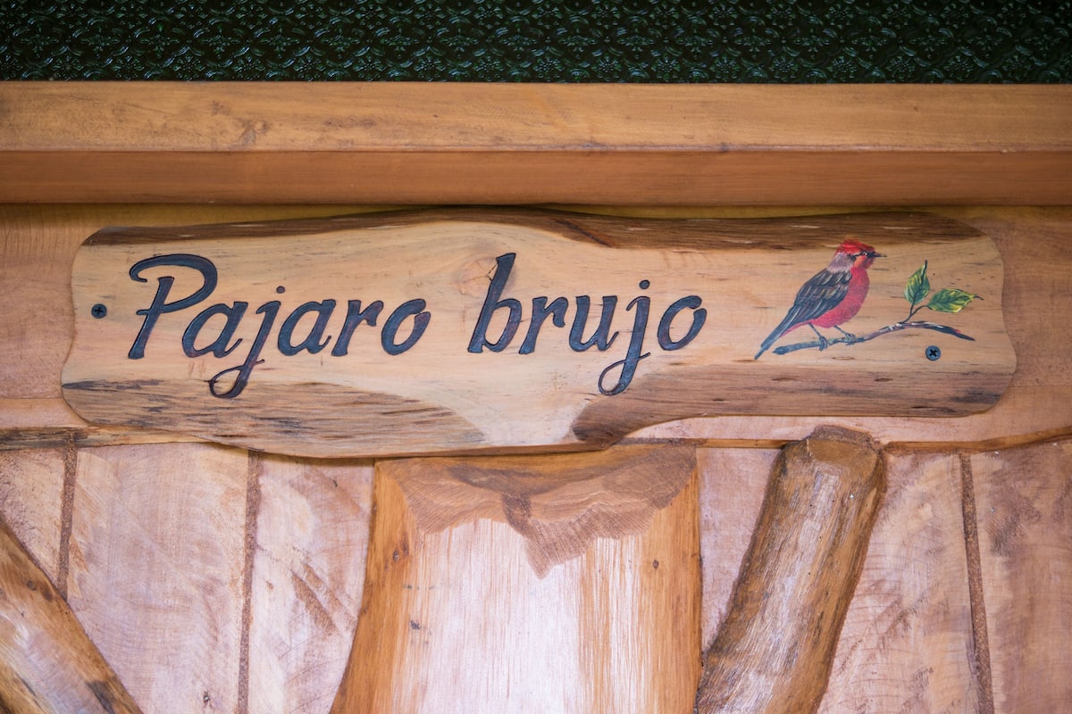Pájaro Brujo y Quinde