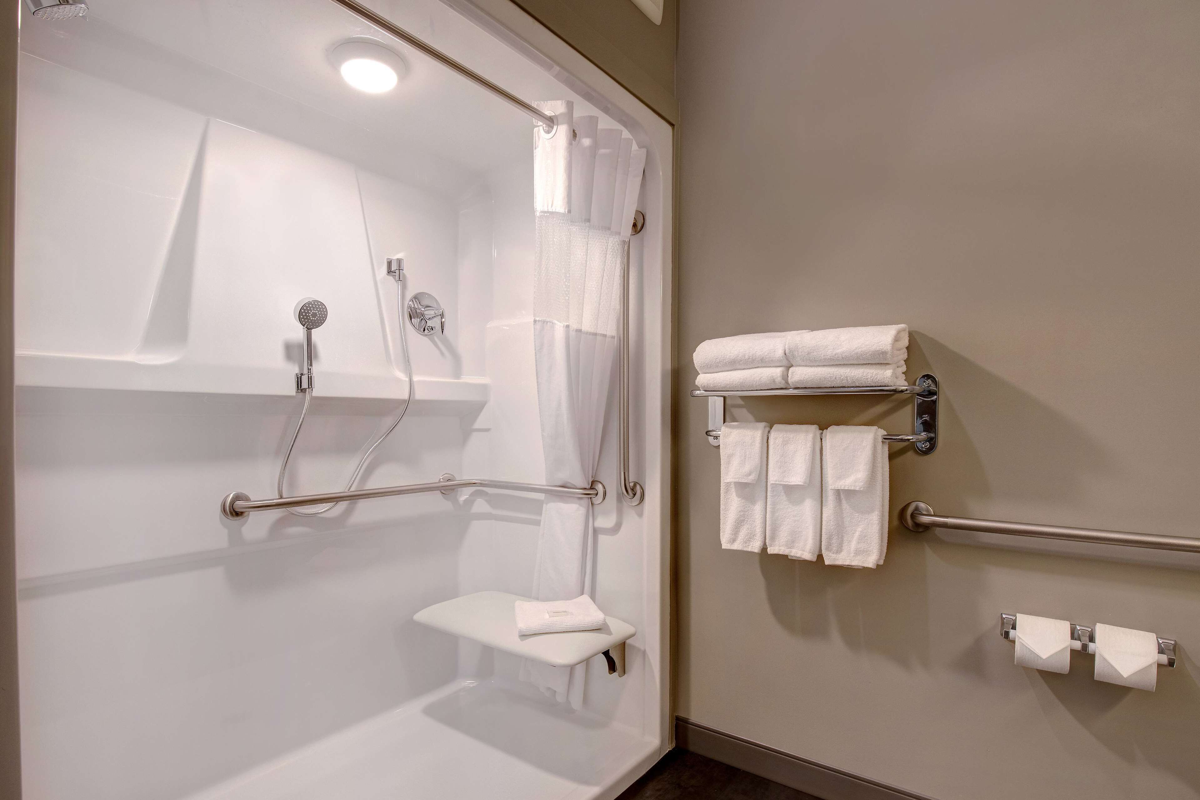 room, 1 queen bed, accessible, non smoking (mobility) | accessible bathroom