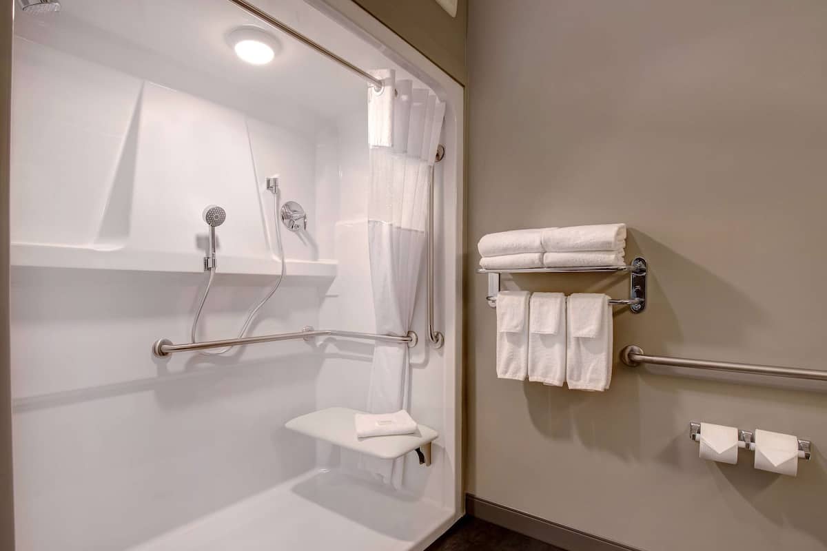 room, 1 queen bed, accessible, non smoking (mobility) | accessible bathroom