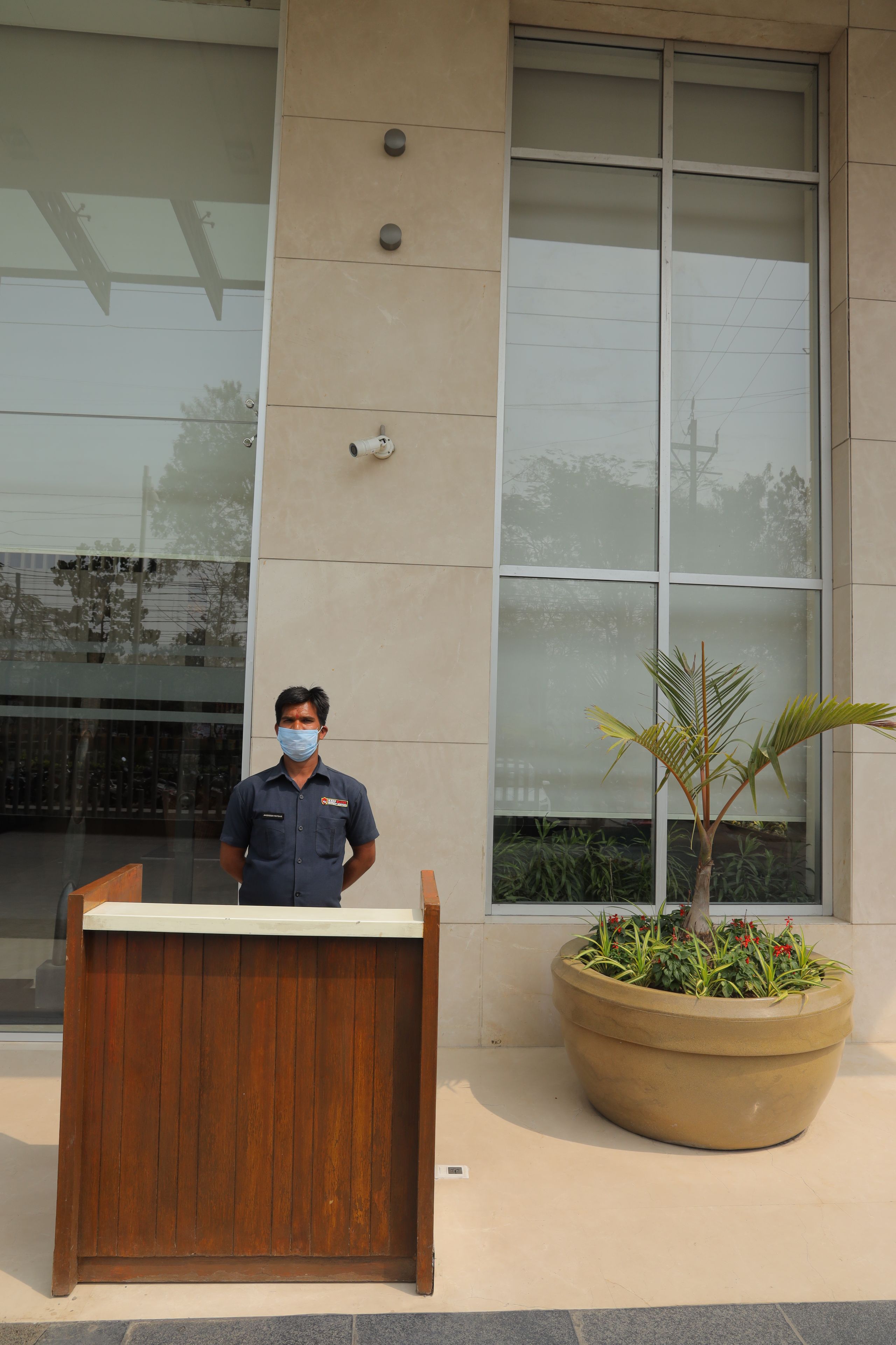 A reception desk with a wooden counter and a large potted plant beside it.