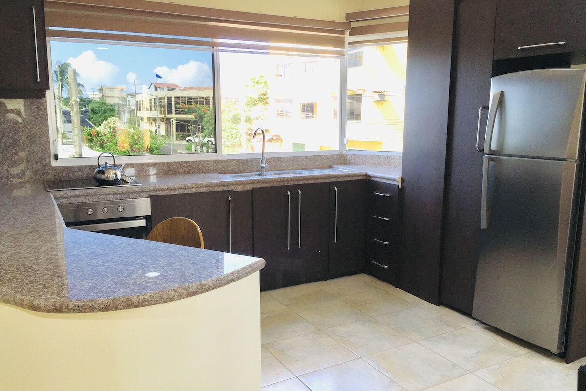 deluxe apartment, 1 king bed, kitchen, city view | view from room