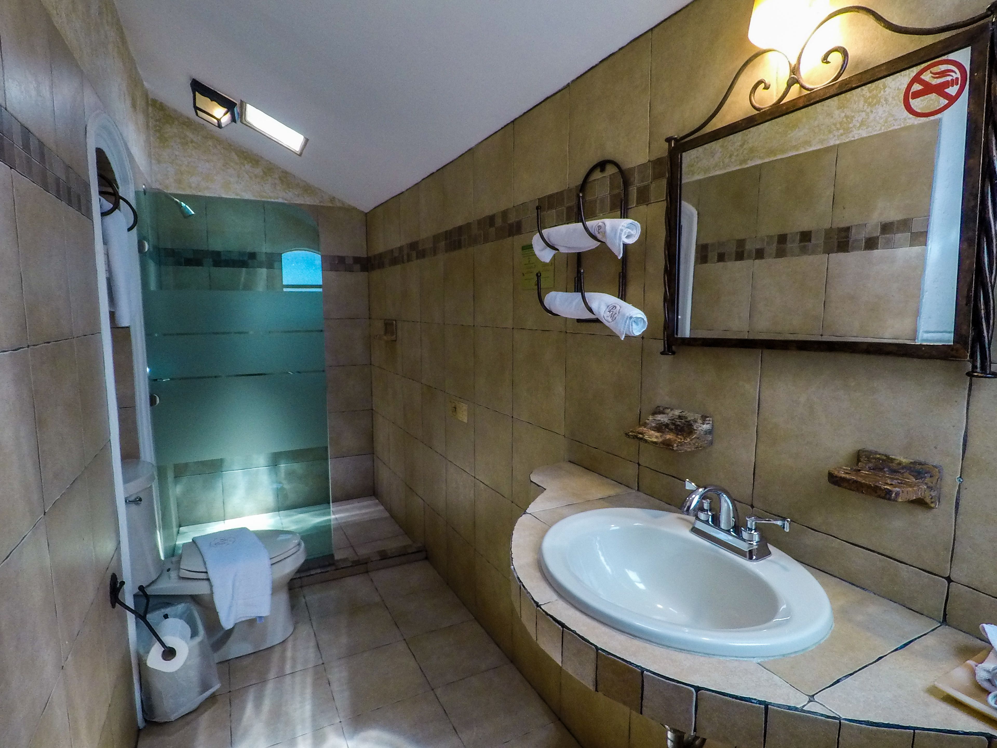 superior room | bathroom shower