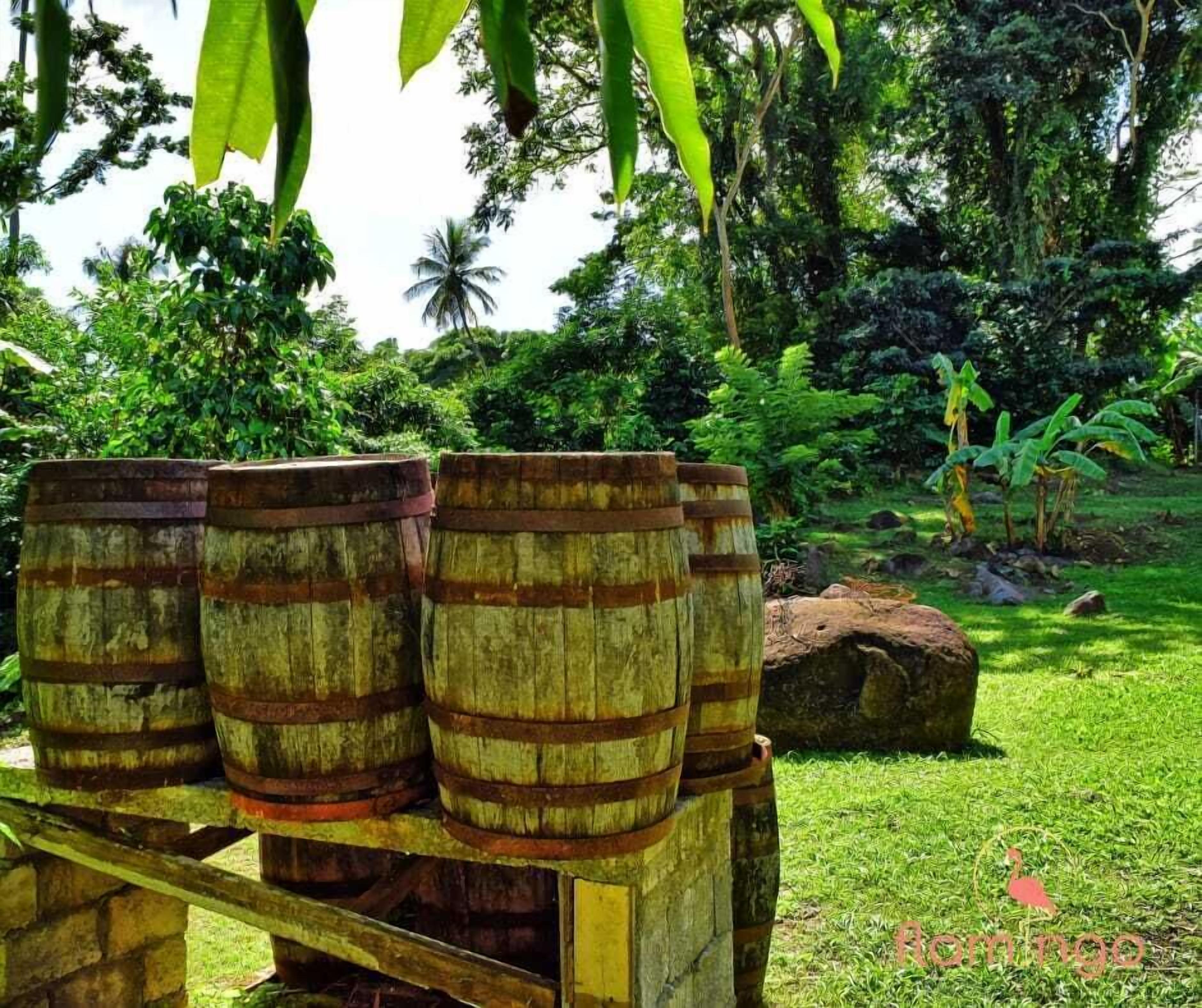 Grill-/Picknickplatz