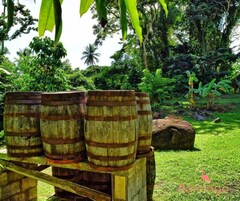 Área de parrillas y picnic