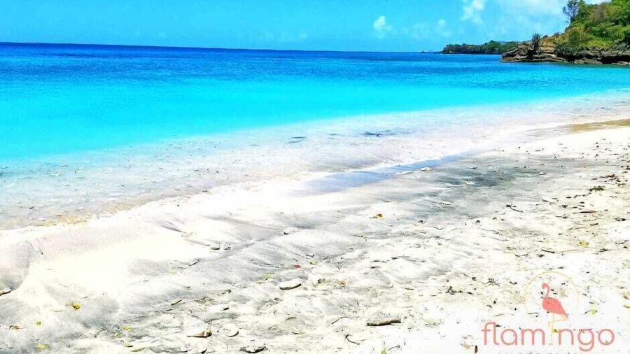 ClarenceVille Villa Apartments