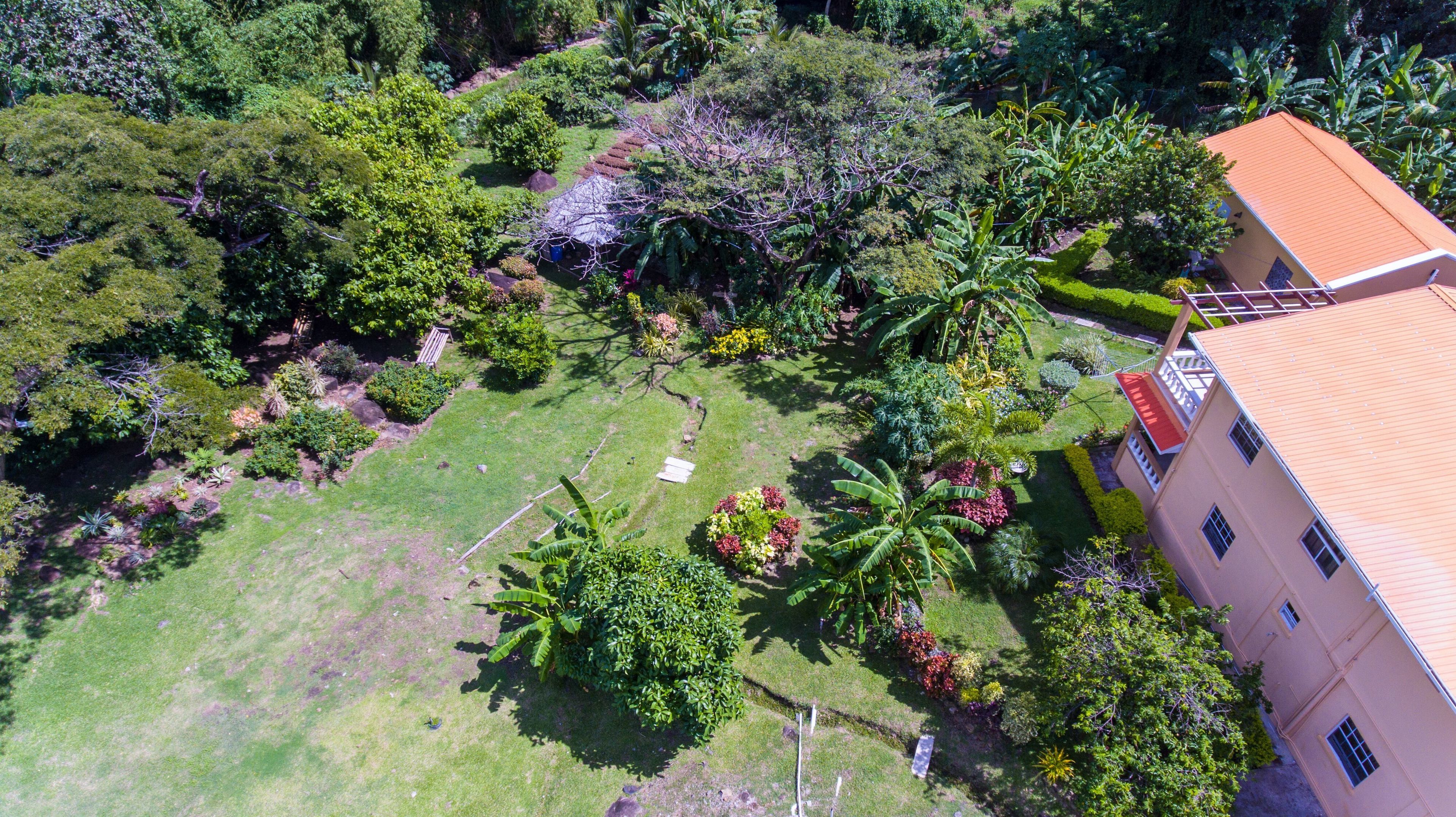 Luchtbeeld van een woongebied met een huis met een rood dak, omringd door weelderige begroeiing en diverse planten.