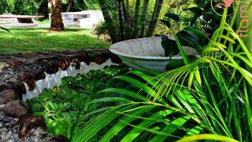 A garden with a pond, rocks, and various plants.