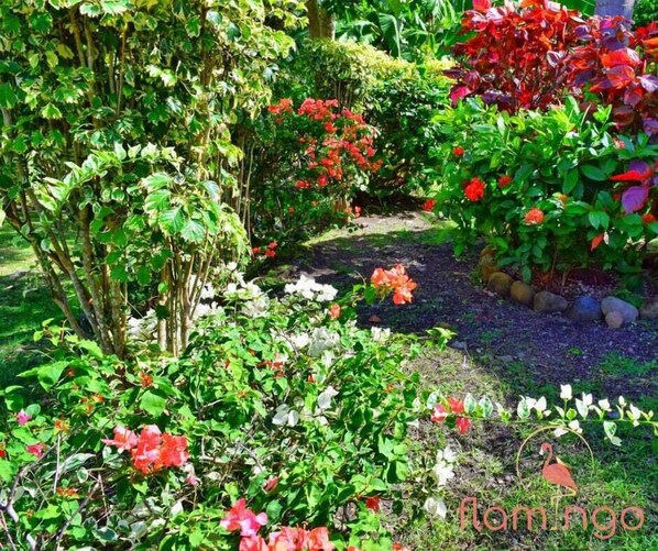 Jardín