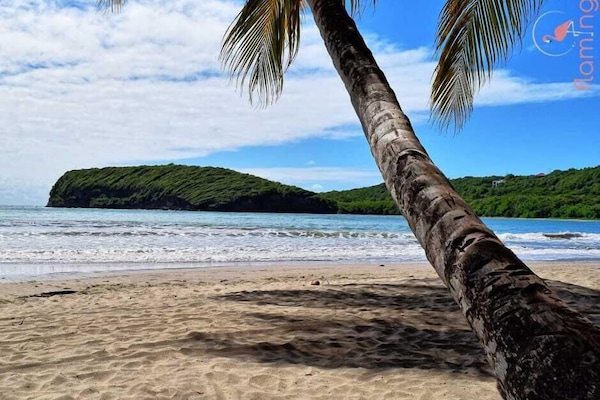 Beach nearby, white sand