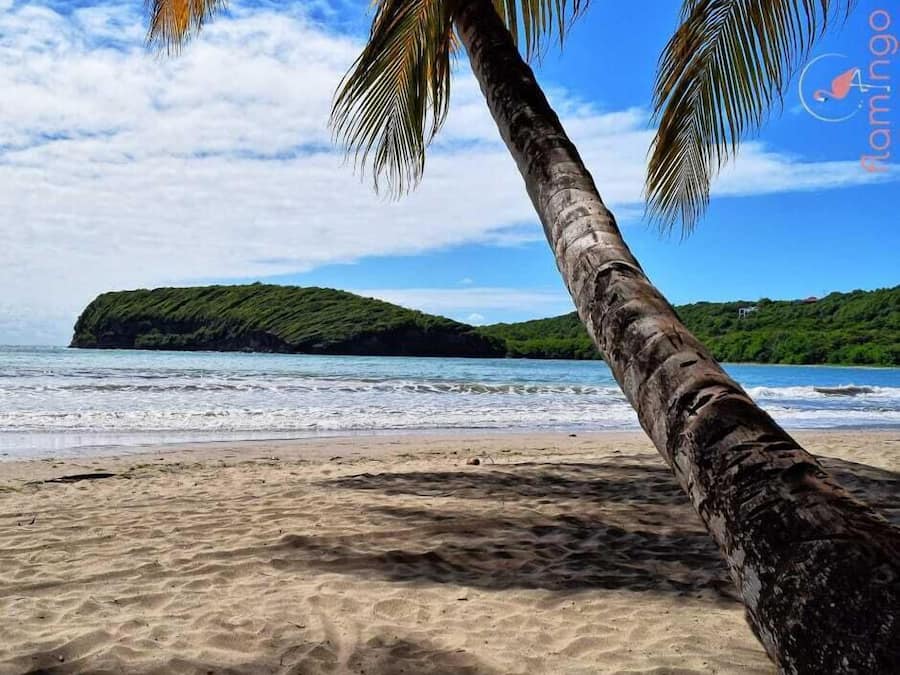Nær stranden og hvit sand