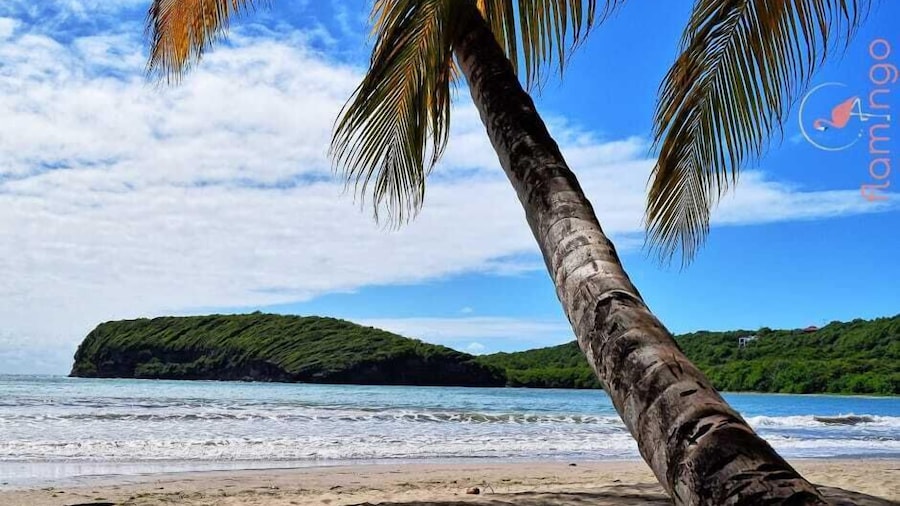 ClarenceVille Villa Apartments