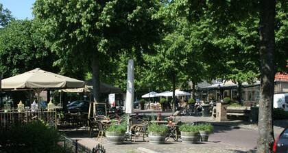 Charming Apartment in Langweer with Jetty