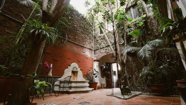A courtyard with a brick wall, potted plants, a stone bench, and a small fountain. - Hotel Casa Guivá (Oaxaca)