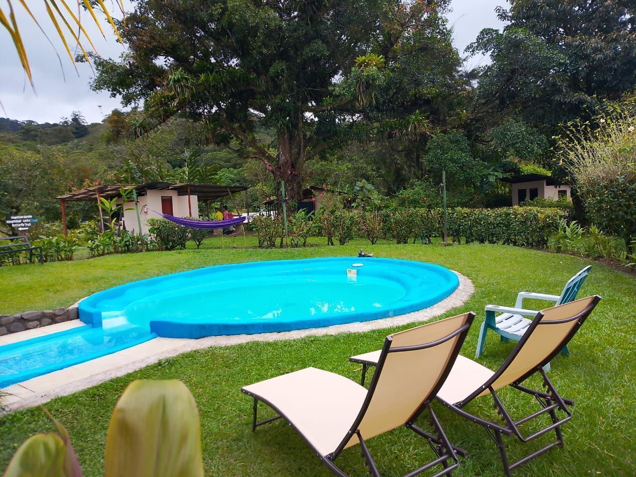 A swimming pool with a curved edge, surrounded by grass and trees. There are two lounge chairs and a small structure with a roof.