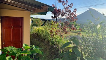1 habitación y ropa de cama