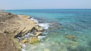 Eine felsige Küstenlinie mit klarem, türkisfarbenem Wasser.
