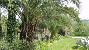 Een weelderige tuin met verschillende planten en een palmbom.