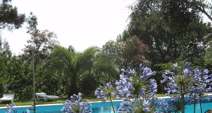 Shared Quinta with Pool and Olive Grove Views