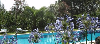 Quinta Retreat med pool och olivlund