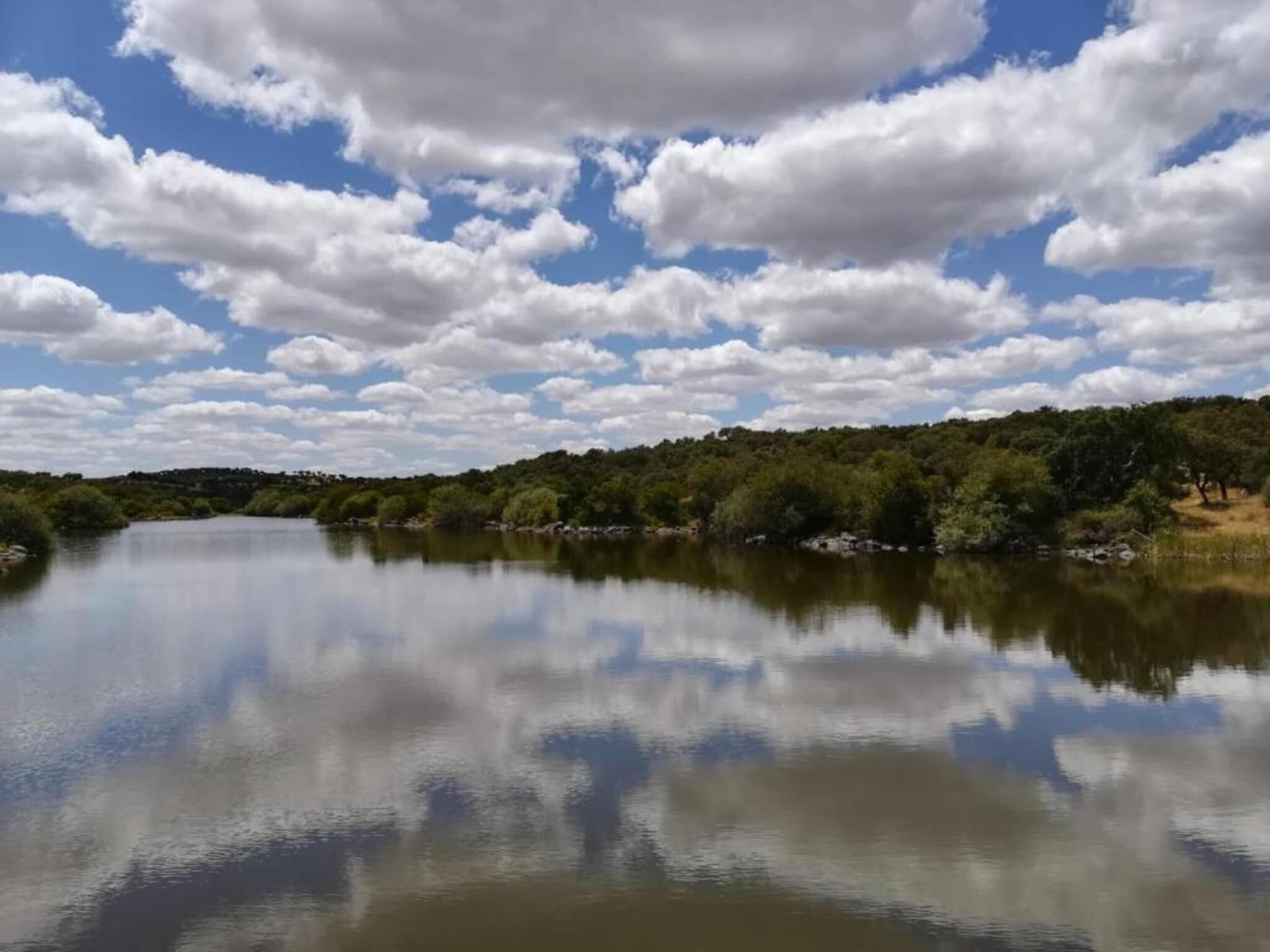 A calm river with a forested bank and a clear sky with clouds.
