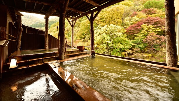 Un onsen japonais traditionnel, avec une architecture en bois et une vue sur une colline boisée.