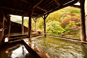Hot springs - Yuze Hotel (Kazuno)