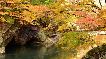 A natural landscape with a rocky cave entrance and a calm body of water reflecting the surrounding foliage.