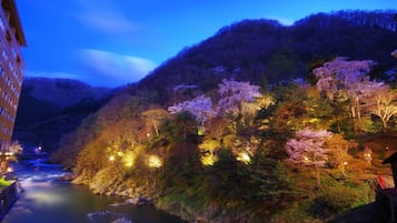 A river flowing through a valley with buildings and cherry blossom trees on the hills.