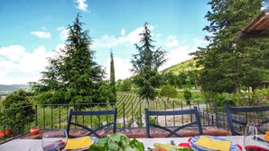 A table set outdoors with a view of a vineyard and trees. - Escape to Vineyards, Elba (Radda in Chianti)