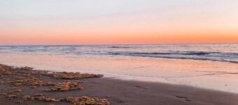 Holiday Home near Dutch Coast & Forest