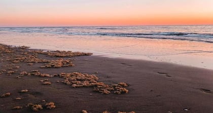 Ferienhaus nahe Küste und Wald