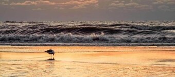Holiday Home near Dutch Coast & Forest