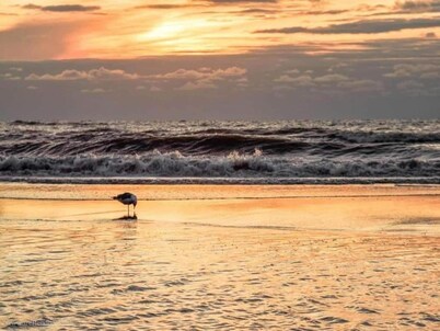 Casa de vacaciones cerca de la costa y bosque