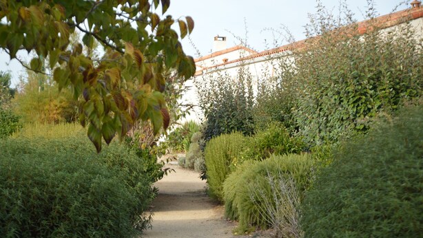 A pathway surrounded by dense greenery and a building with a red-tiled roof in the background. - Quiet holiday home by the sea in the Loire (Talmont-St. Hilaire)