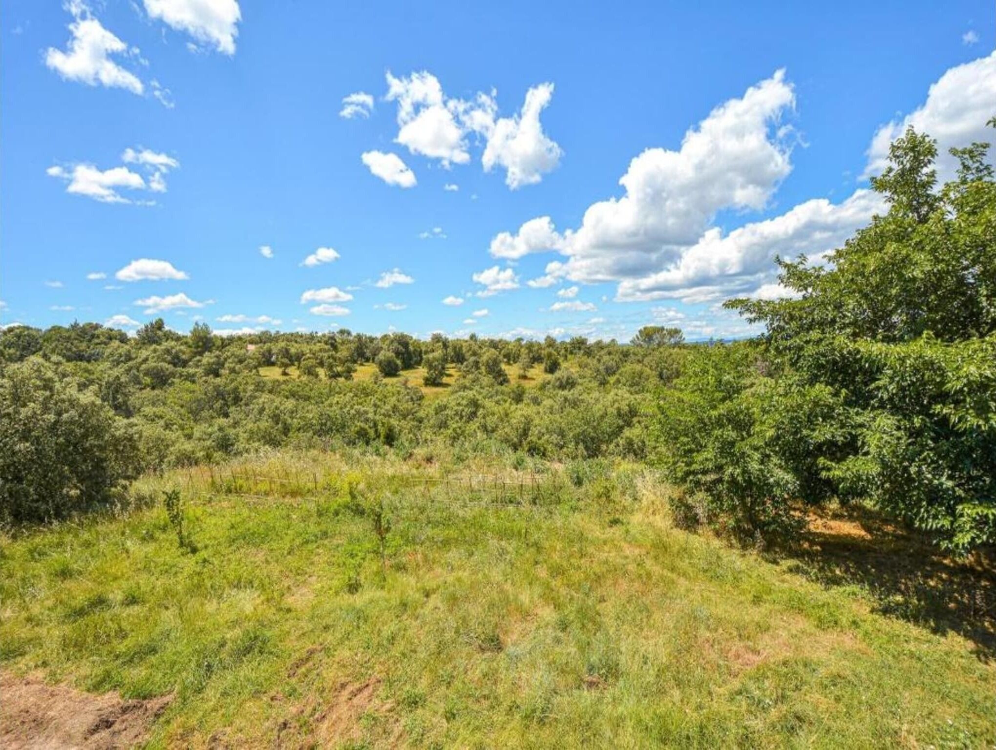 Eine natürliche Landschaft mit blauem Himmel und vereinzelten Wolken.